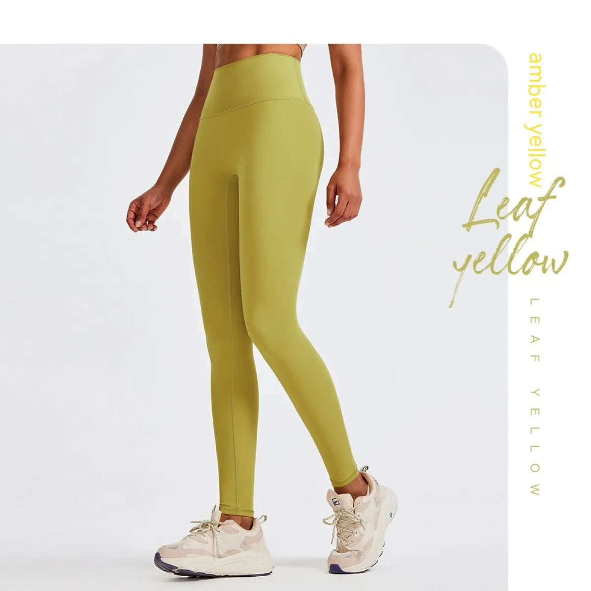 Pro Plus Size Fitness Leggings