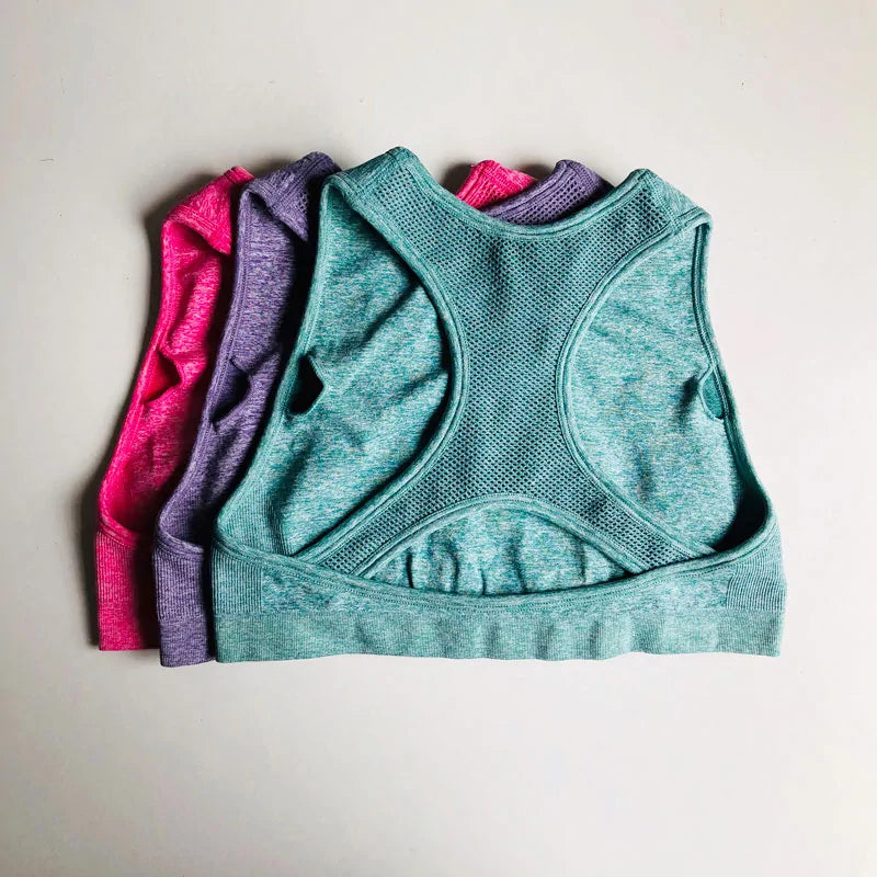 Seamless High Impact Sports Bra