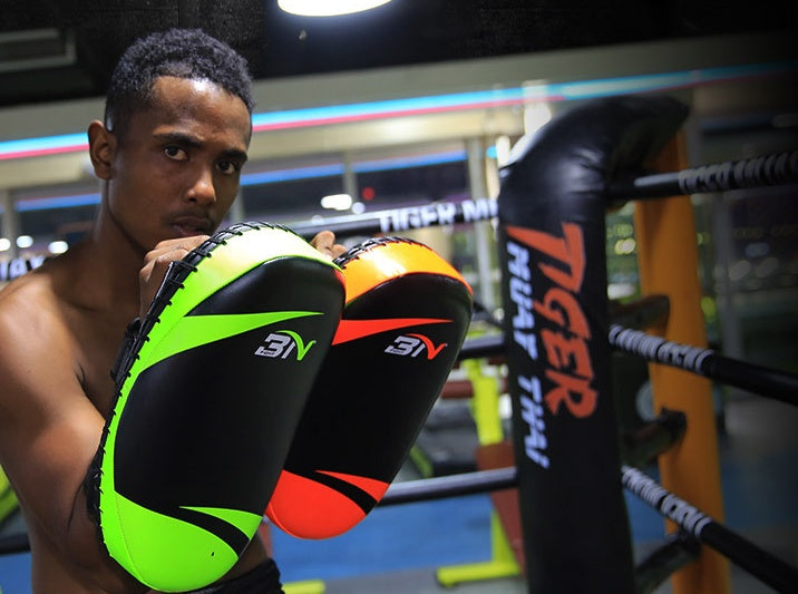 Taekwondo/Boxing/Muay Thai boxing protective gear target