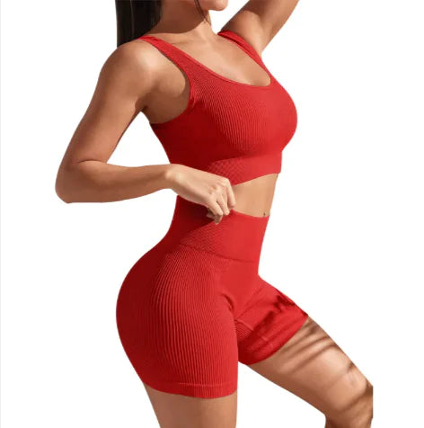 Pro Seamless Yoga Fitness Set
