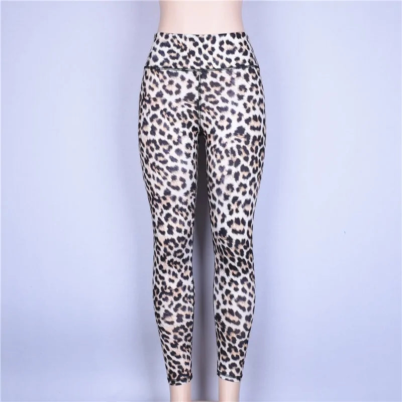Premium Women's High Waist Leggings