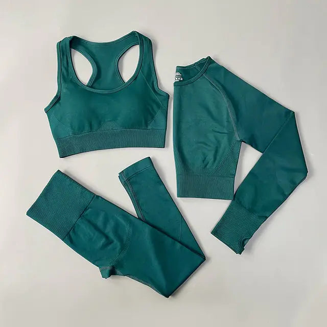 Illumino360Fitness 2/3/4PCS Seamless Women Yoga Set