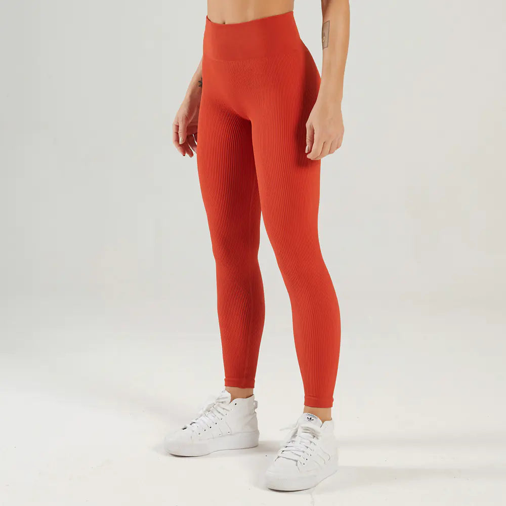 New Premium Illumino360Fitness Seamless High-Stretch Sports Bra and Yoga Set