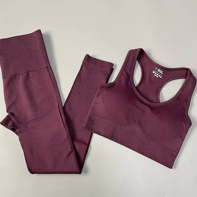 Illumino360Fitness 2/3/4PCS Seamless Women Yoga Set