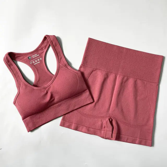 Illumino360Fitness 2/3/4PCS Seamless Women Yoga Set