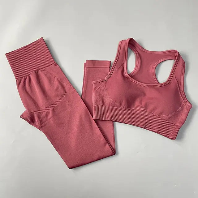 Illumino360Fitness 2/3/4PCS Seamless Women Yoga Set