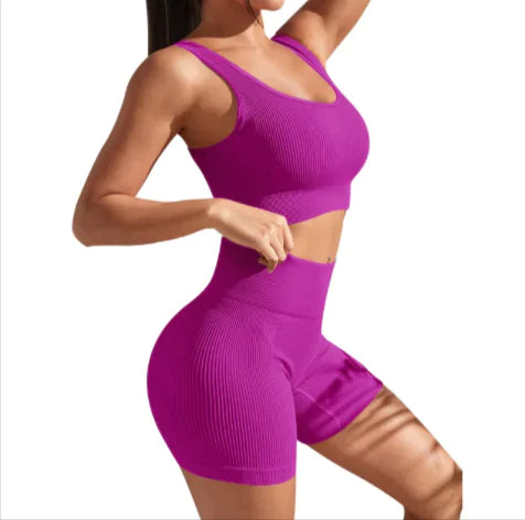 Pro Seamless Yoga Fitness Set