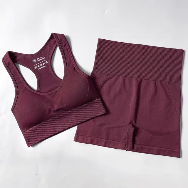 Illumino360Fitness 2/3/4PCS Seamless Women Yoga Set