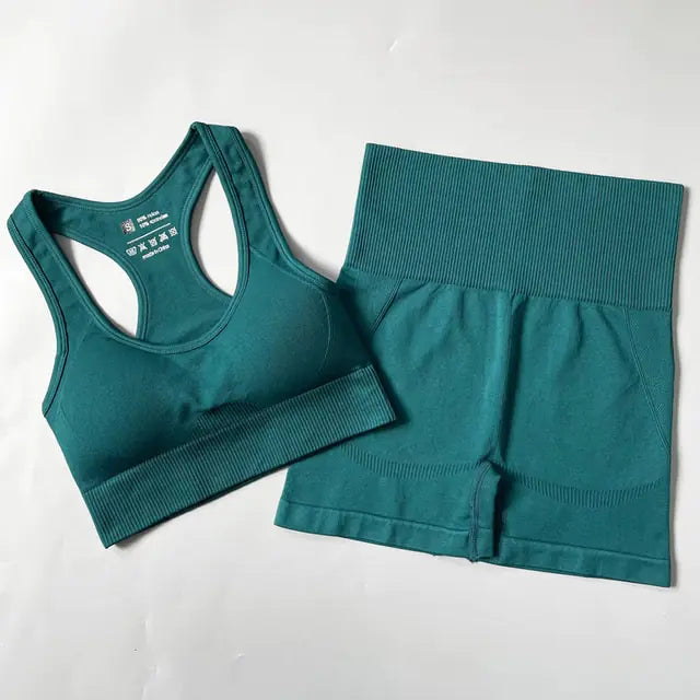 Illumino360Fitness 2/3/4PCS Seamless Women Yoga Set