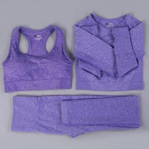 2 and 3 PCS Premium Seamless Women Sportswear