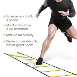 Heavy-Duty Nylon Straps Training Ladders