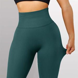 Seamless Squat Proof Fitness Leggings