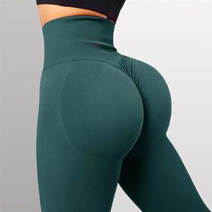 Seamless Squat Proof Fitness Leggings