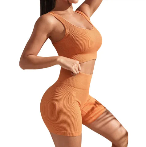 Pro Seamless Yoga Fitness Set