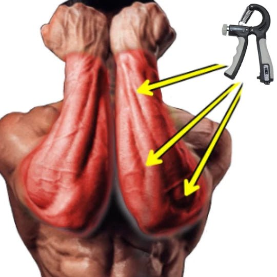 Flexor Force + Complete Workout for Muscle Mass Gain - illumino360.com