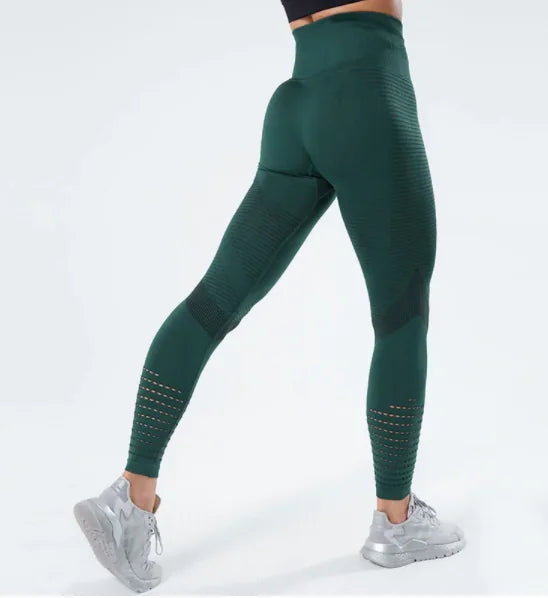 Illumino360 Seamless New Women's Fitness Leggings