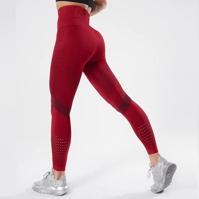 Illumino360 Seamless New Women's Fitness Leggings