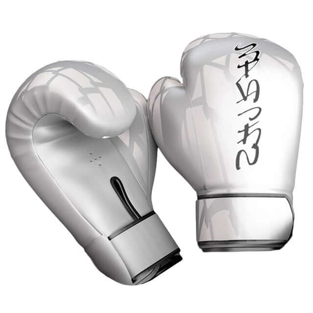 Silver Boxing Gloves - illumino360.com