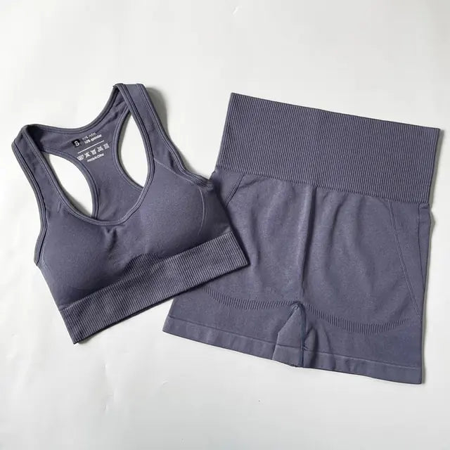 Illumino360 2/3/4PCS Seamless Women Yoga Set