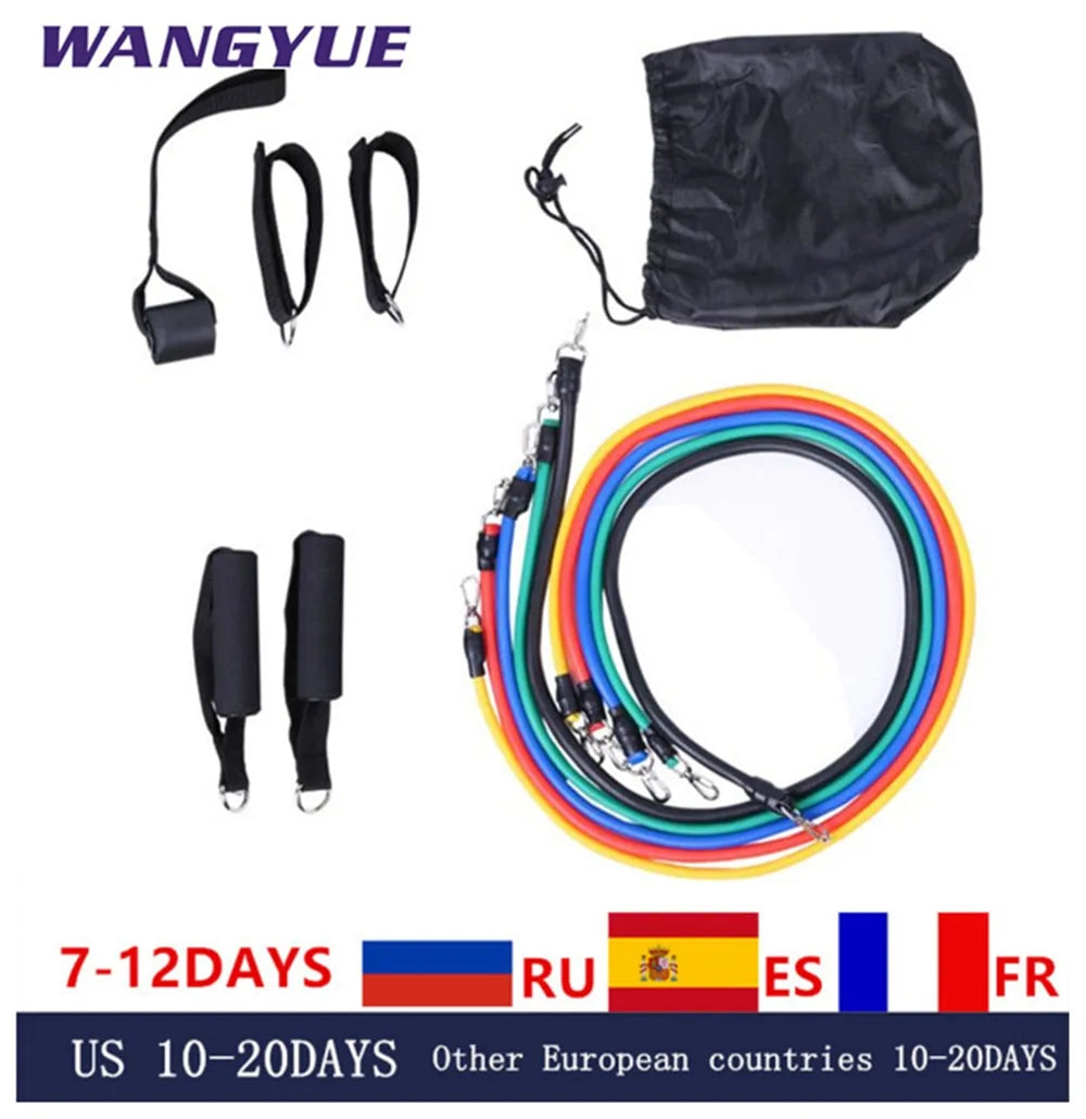 17-Piece Latex Resistance Bands Set