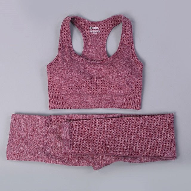 2/3PCS Seamless Women Workout Sportswear - illumino360.com